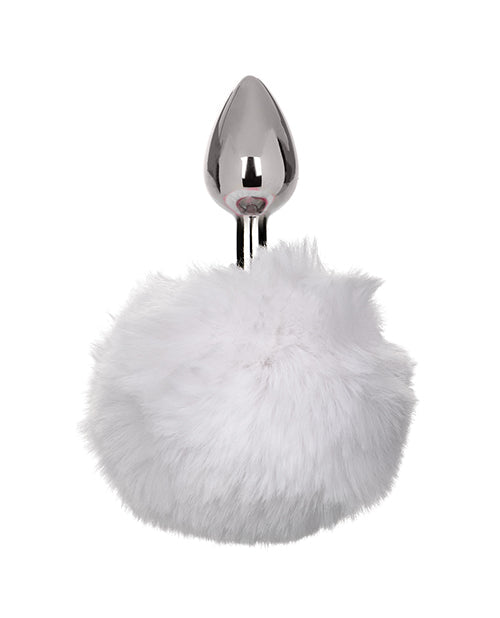 Sonda Anal de Conejo Blanco Silvestre de Cola Corriendo