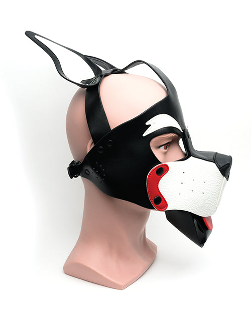 665 Capucha Juguetona para Cachorros - T/U Negro/Rojo/Blanco