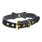 Golden Kitty Cat Bell Collar - Black/Gold
