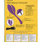 Mini Marvels Marvelous Climaxer - Morado