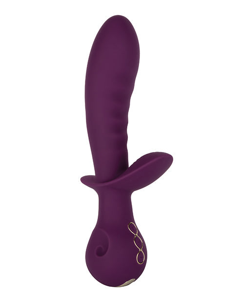 Obsesión Amante - Morado