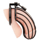 Blue Line Prisoner Cock Cage Black