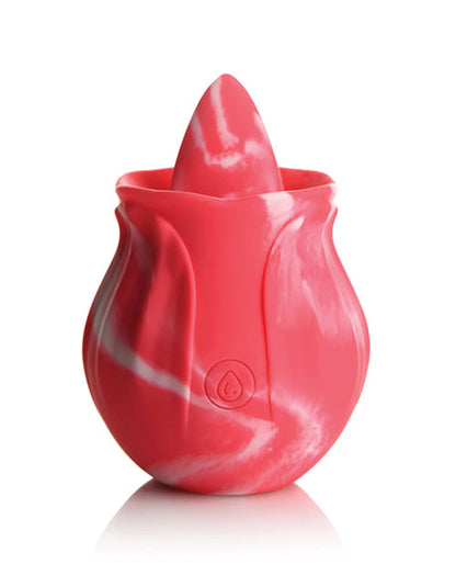 Gossip Cum Into Bloom Licking Rose - Tourbillon Rose