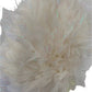 Feather Hat