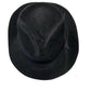 Fedora