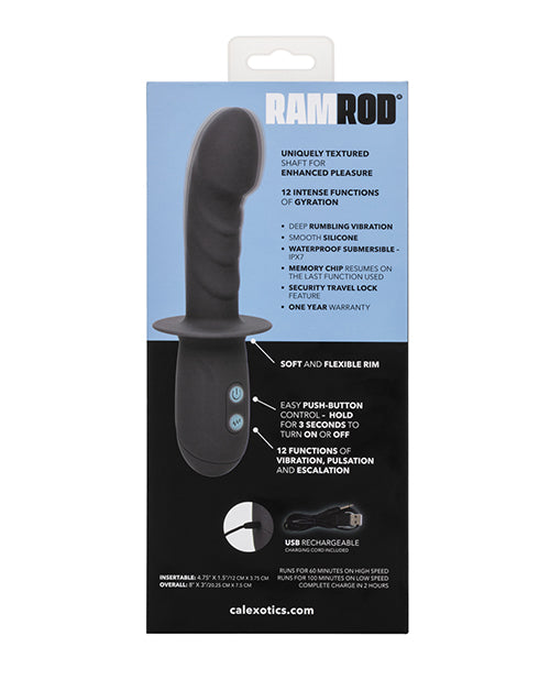 Sonda Anal Giratoria de Baqueta