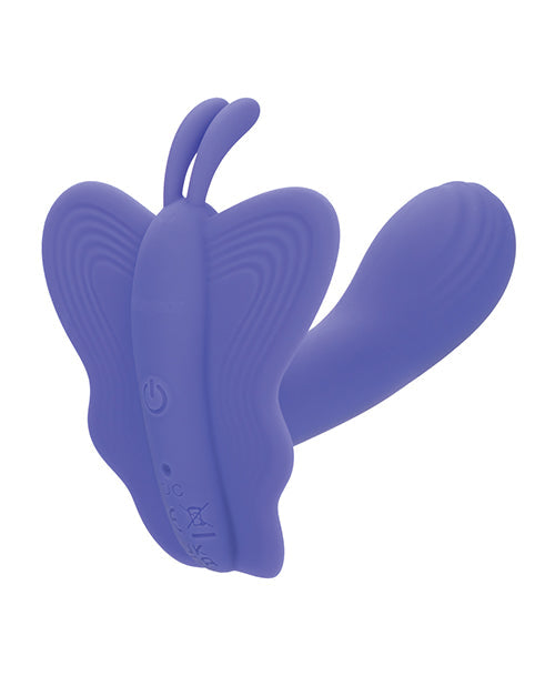 Conectar mariposa Venus basada en aplicación
