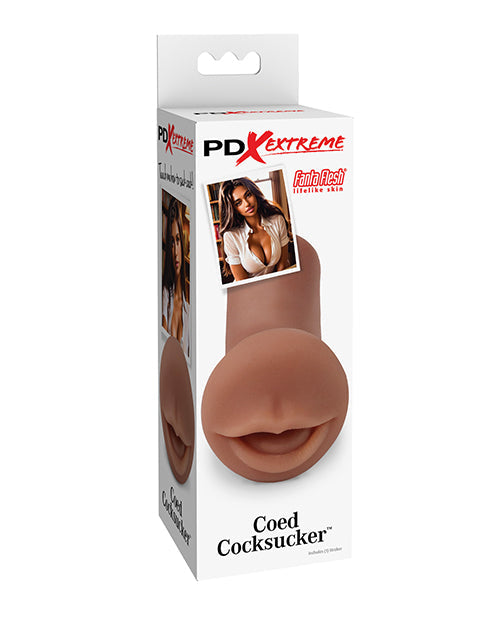 PDX Extreme Coed Cocksucker Masturbador Masculino Marrón