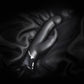 Fifty Shades Greedy Girl Lapin Rechargeable Point G