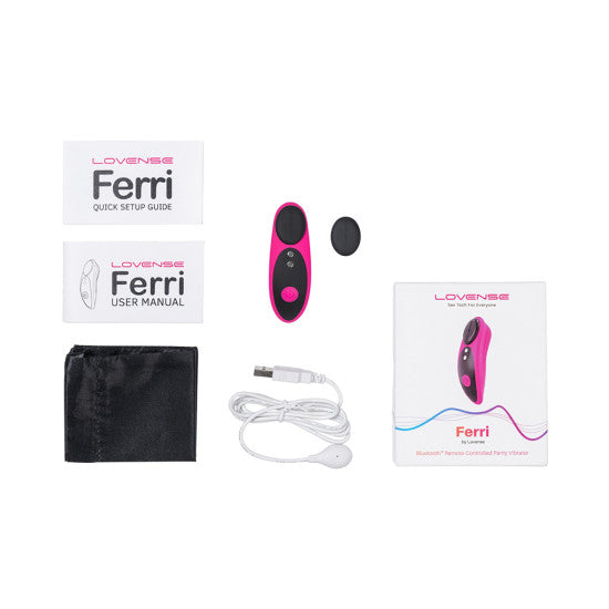 Lovense Ferri Remote-Controlled Panty Vibrator