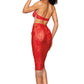 Plus Size Corded Lace Bra and Slip Skirt Set