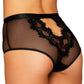 Sheer Lace Panty