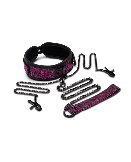 Ensemble collier, laisse et pinces à tétons WhipSmart Dragon's Lair