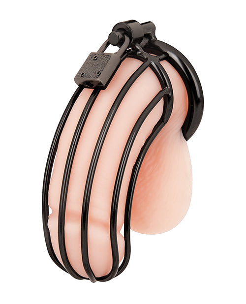 Cage de chasteté Blue Line pour pénis – Noir