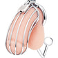 Cage à bite Blue Line avec stimulateur anal - Argenté