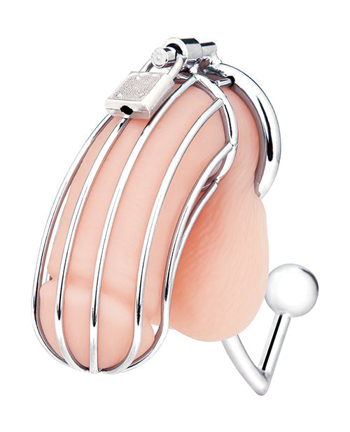 Cage à bite Blue Line avec stimulateur anal - Argenté