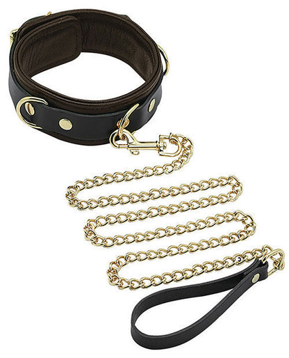 Collier et laisse Spartacus – Cuir marron avec accessoires dorés