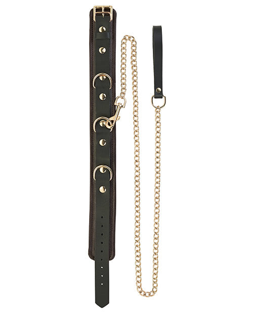 Collier et laisse Spartacus – Cuir marron avec accessoires dorés