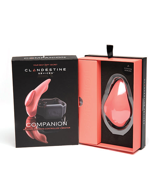 Clandestine Devices Compañero Panty Vibrador con Control Remoto Ponible - Coral