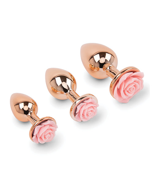 Gemsations Kit de entrenamiento con plug anal Rose Metal oro rosa