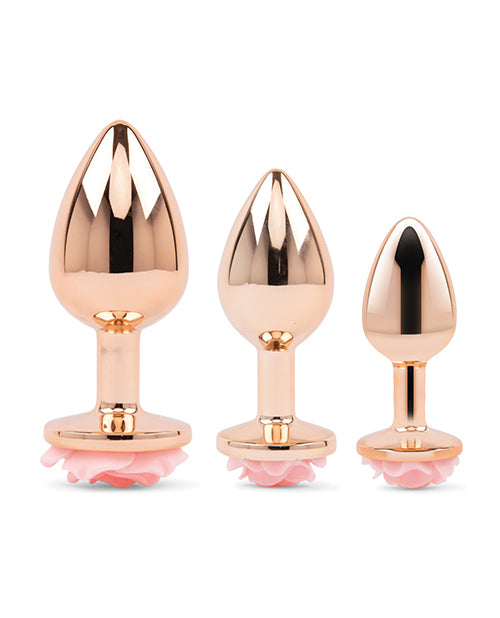 Gemsations Kit de entrenamiento con plug anal Rose Metal oro rosa