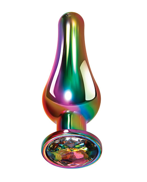 Ensemble de plugs anaux en métal arc-en-ciel Evolved