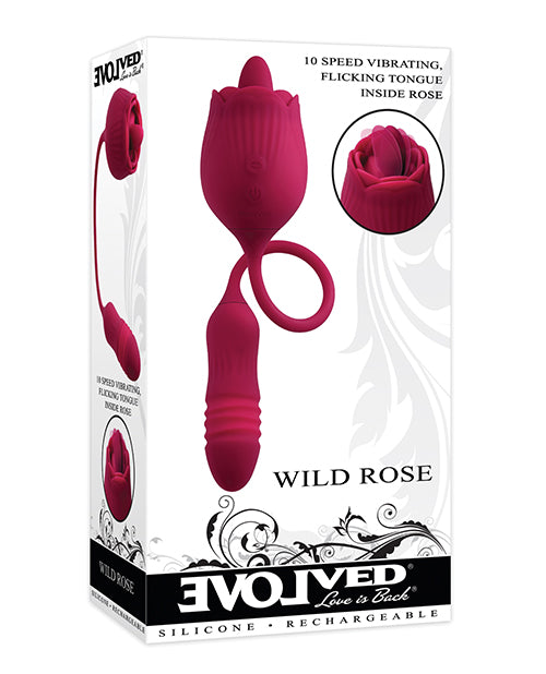 Rosa Silvestre Evolucionada - Roja
