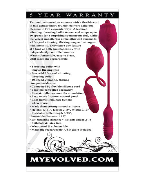 Rosa Silvestre Evolucionada - Roja