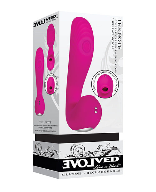 Evolved The Note Thumping Licking Vibe - Rosa