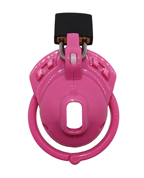 Prise Au Piège Du Désir Le Vice Chochotte - Rose
