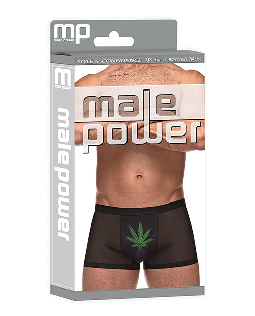 Pantalla Privada Micro Malla y Hoja de Marihuana Modal Negro MD