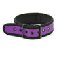 Plesur Neoprene Puppy Collar - Purple