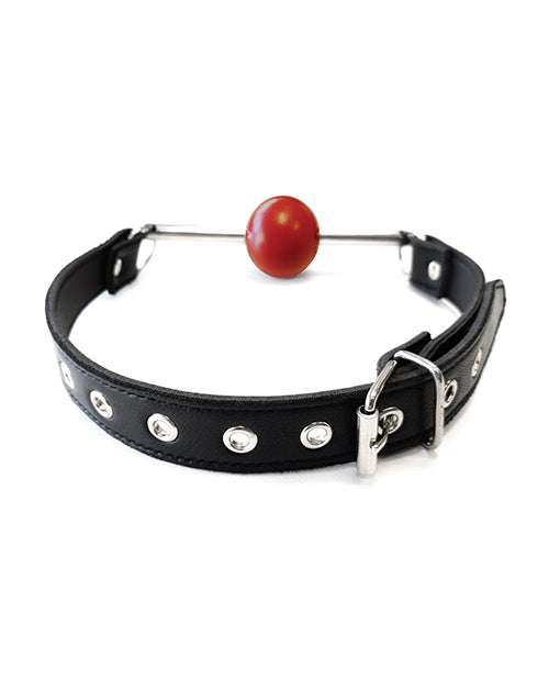 Bâillon boule en cuir rouge avec tige en acier inoxydable et boule amovible - Noir avec rouge