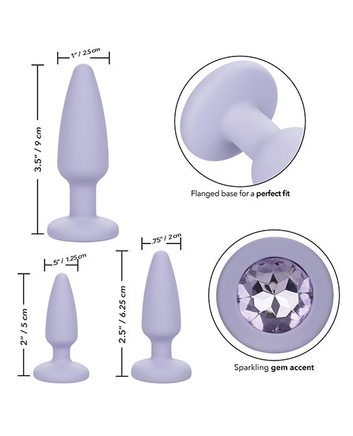 Kit de Démarrage Crystal Booty - Violet