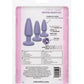 Kit de Démarrage Crystal Booty - Violet