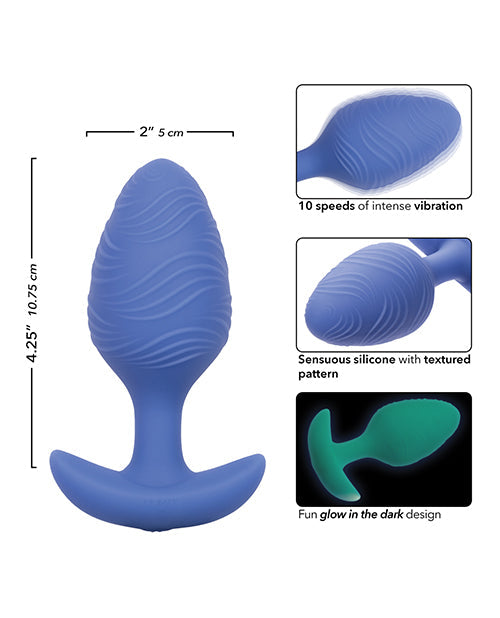 Vibreur plug anal phosphorescent coquin - Grande taille bleu