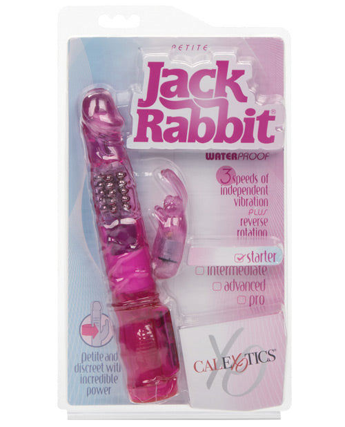 Jack Rabbit Petite - Rose