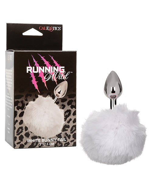 Sonda Anal de Conejo Blanco Silvestre de Cola Corriendo