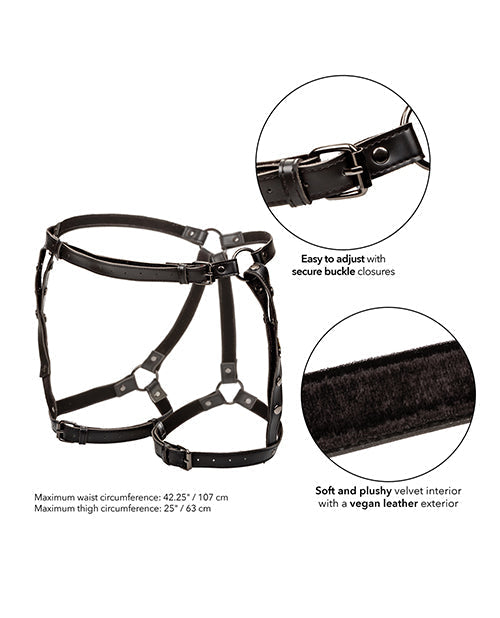 Harnais de cuisse d'équitation collection Euphoria