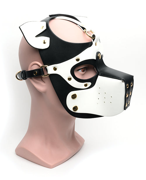 665 Capucha de Sumisión para Cachorro - Talla Única Negro/Blanco