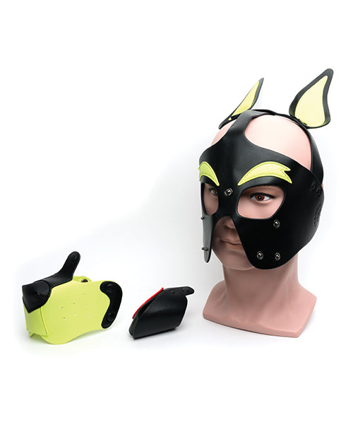 665 Capucha Juguetona para Perro - T/U Negro/Amarillo