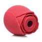 Coffret cadeau Bloomgasm Enchanted Rose Vibe Lovers - Rouge