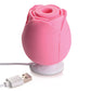 Caja de Regalo "Los Amantes de la Rosa Encantada" - Rosa