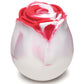 Caja de regalo Bloomgasm Enchanted Rose Vibe para amantes - Remolino