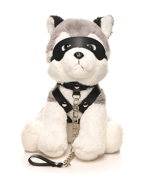 Master Series Max el Cachorro Fetish