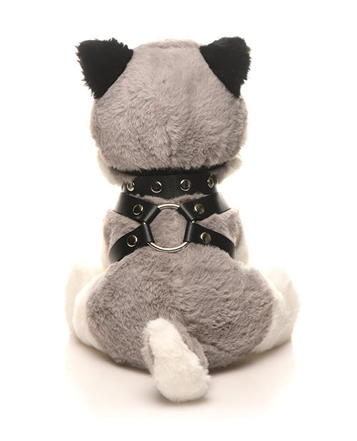 Master Series Max el Cachorro Fetish
