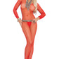 Fishnet Bodystocking with Long Sleeves