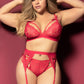 Plus Size Lace Cage Bra and Garter Set