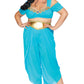 Plus Size Sexy Desert Princess Costume