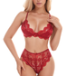 Lucky Lace Demi Bra and Panty